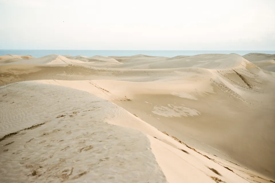 Canaria — photograph by Antonin Sgambato (2/11)