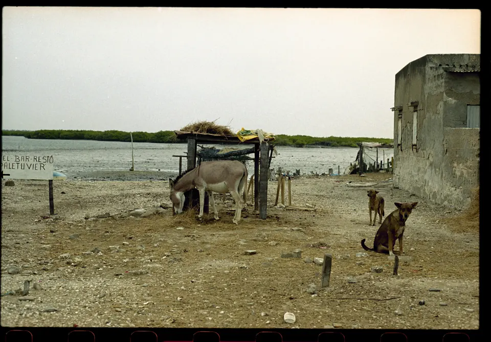 Senegal — photograph by Antonin Sgambato (9/9)